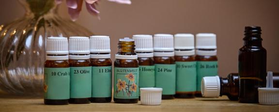 Bachblütentherapie