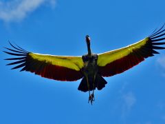 Wie wir uns selbst finden und begegnen können
