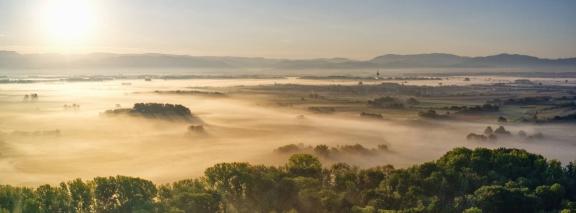 Depressionen I Ursachen I Symptome