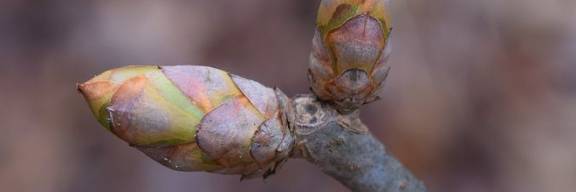 Das wahre Handeln liegt in stillen Momenten