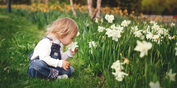 erlebnis workshop bachblüten kinder