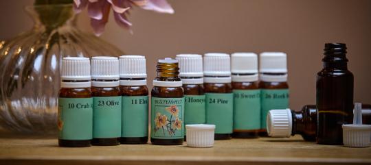 bachblüten workshop starke kinder