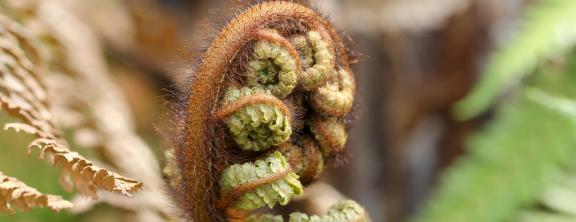 übergänge, wandel, transformation