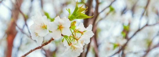 workshop sichtbarkeit selbstentfaltung