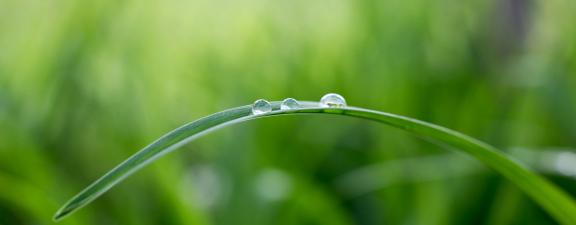 tagesseminar frauen der stille lauschen