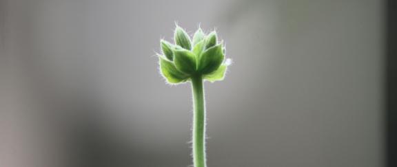 workshop sichtbarkeit selbstentfaltung