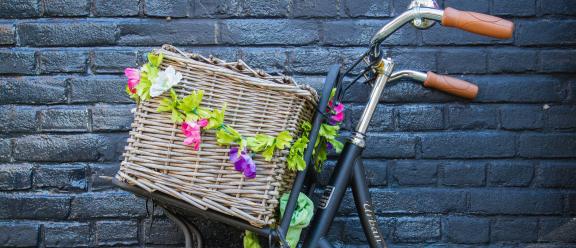 Spirituelle Intuitive Bachblüten Ausbildung