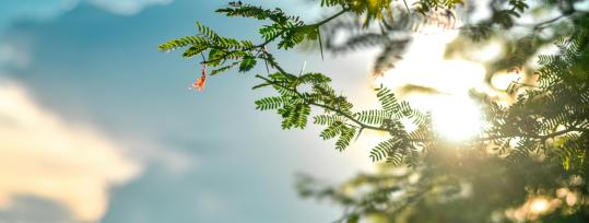 Lebenskrisen überwinden