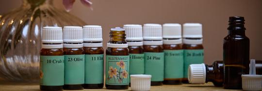 bachblüten wirkung frauen kennenlernen