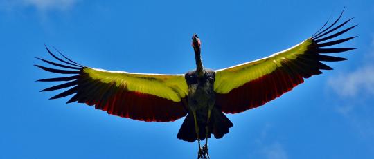 mediale aufstellungsarbeit, spirituelle heilung