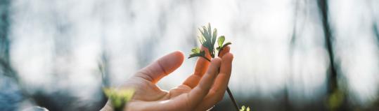 wege in deine mitte selbsterfahrung seminare workshops