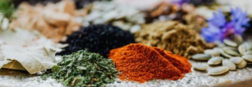 bachblütenausbildung