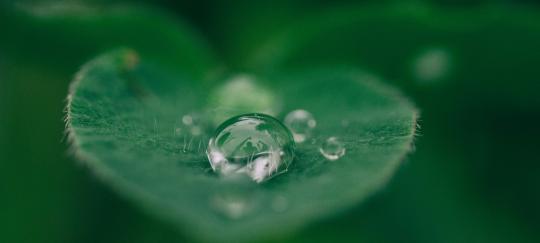 der eigenen wahrnehmung vertrauen tagesseminar frauen