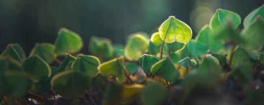 tagesseminar frauen der inneren wahrnehmung vertrauen