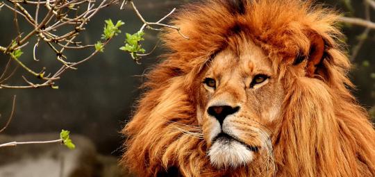 tagesseminar frauen bei mir ankommen eigene kraft