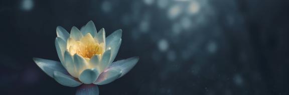 online meditation achtsamkeit