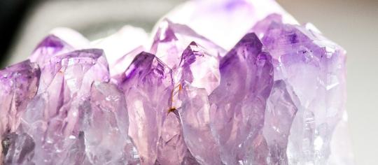 arbeitskreis bachblüten