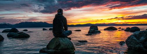 bachblütenausbildung 