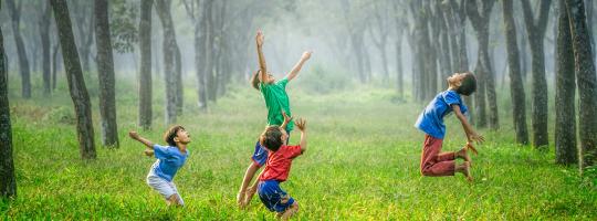 bachblüten starke kinder erelbnisworkshop
