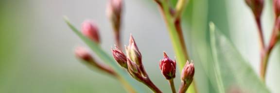 Entdecke die Quelle deines Seins