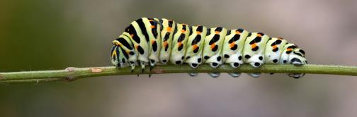 selbsterfahrung wandlung