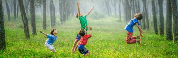 bachblüten kinder vertiefungsseminar