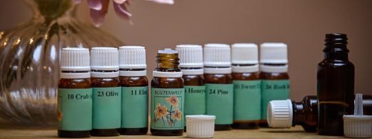 bachblütentherapie, sabfte begleiter, seele