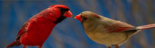 ehrliches mitteilen informationsabend