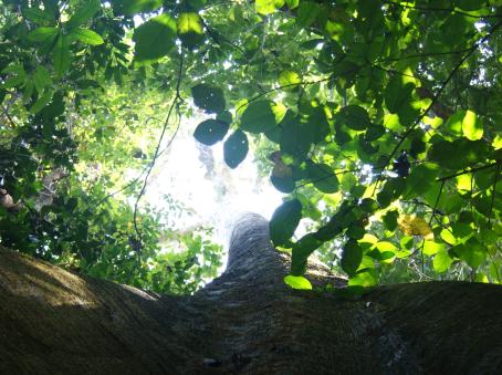 Traumatherapie: Traumen lösen &amp; inneren Kontakt wiederfinden