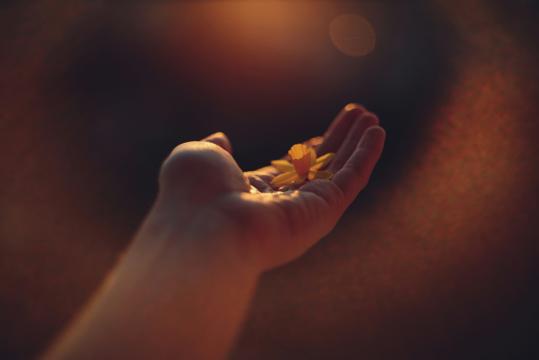 Medialer Zirkel - ein spiritueller Entwicklungsweg