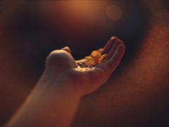 Medialer Zirkel - ein spiritueller Entwicklungsweg