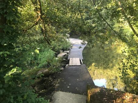 Ängste - Wann ist eine Angst gesund und wann nicht?