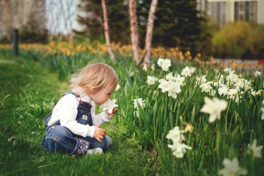 Blüten für starke Kinder – Bachblüten-Erlebnisworkshop