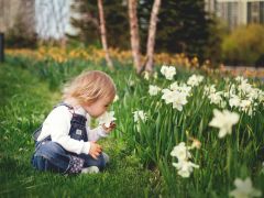 Blüten für starke Kinder – Bachblüten-Erlebnisworkshop