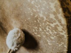 Schamanische TrommelReise 