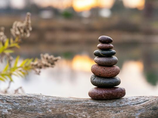 Monatsmeditationen online – Eine Reise zu dir selbst