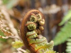 Übergänge-Wandlung-Transformation