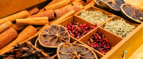 bachblütenausbildung 