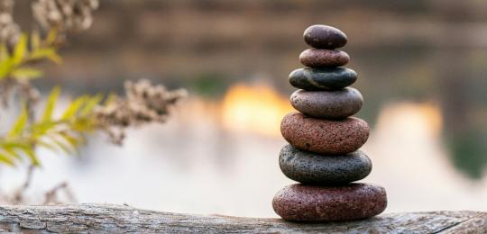 tagesseminar frauen bei mir ankommen selbstfindung