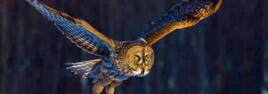 tagesseminare frauen übersicht