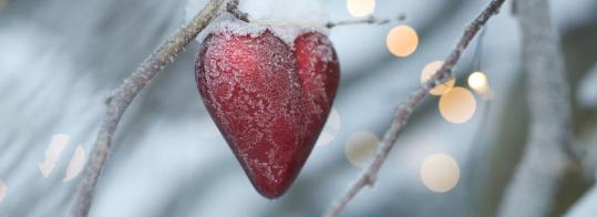 frauen tagesseminar bei mir ankommen selbstfindung