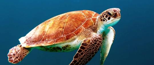 tagesseminar frauen der eigenen wahrnehmung vertrauen