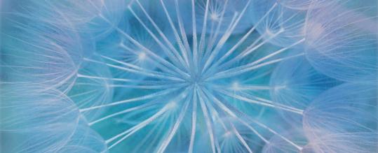 hals chakra meditation