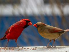 Ehrliches Mitteilen - Lokale Gruppe