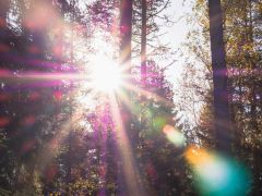 Heilmeditationen für inneres Gleichgewicht 
