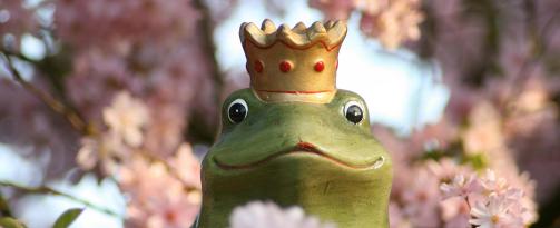 aufbauseminar bachblütenausbildung