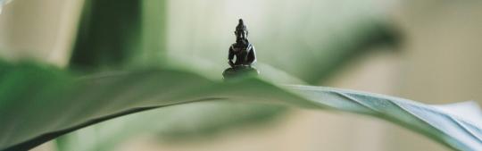 heilmeditation affing hausnwies