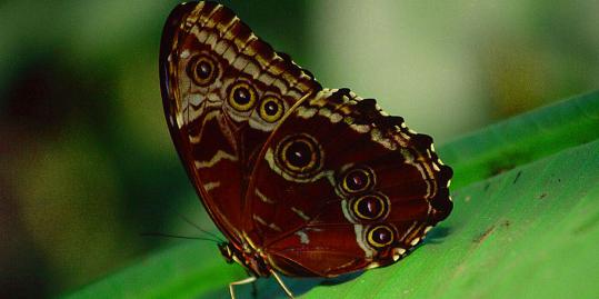 jahresseminar selbsterfahrung wandlung herzensweg
