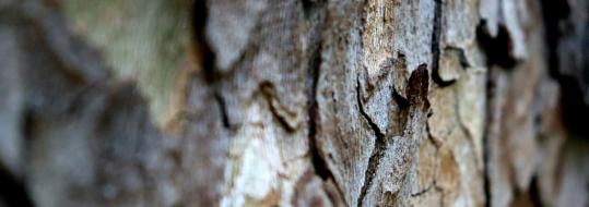 körper meditastion online