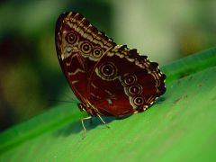 Jahresseminar - Selbsterfahrung - Herzensweg